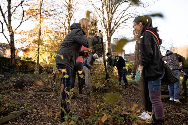 Group of students planting trees